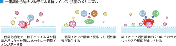 ■ 一価銅化合物ナノ粒子による抗ウイルス･抗菌のメカニズム